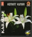 Hemant Kumar (Karaoke )