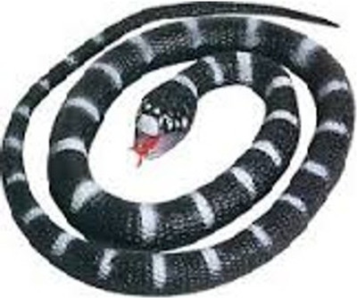 40% OFF on Wild Republic Rubber Snake Calif King 40% OFF on Wild Republic Rubber Snake Calif King