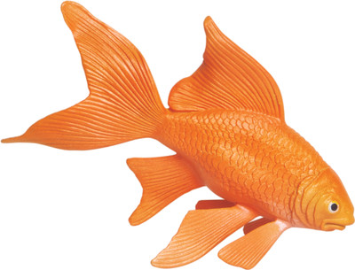 25% OFF on Safari Ltd Ic Goldfish 25% OFF on Safari Ltd Ic Goldfish
