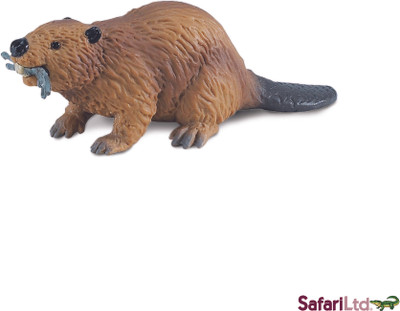 Safari Ltd Ws Naw Beaver