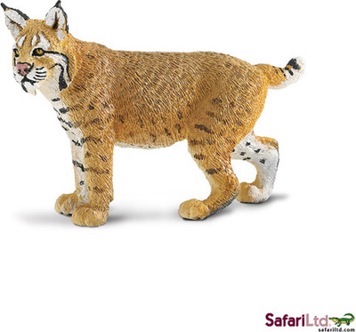 Safari Ltd Ws Naw Bobcat Safari Ltd Ws Naw Bobcat