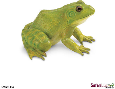 Safari Ltd Ic American Bullfrog Safari Ltd Ic American Bullfrog