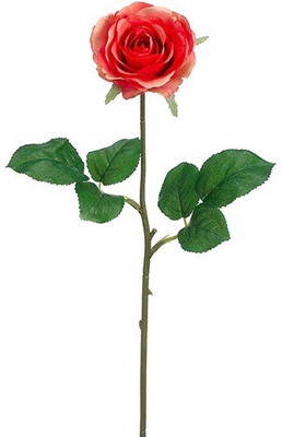 49% OFF on Amiya Garden Pink, Orange Rose Artificial Flower 49% OFF on Amiya Garden Pink, Orange Rose Artificial Flower