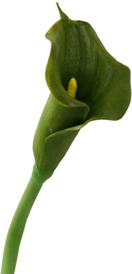 40% OFF on Gifts By Meeta Green Lily Artificial Flower 40% OFF on Gifts By Meeta Green Lily Artificial Flower