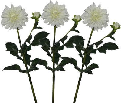 50% OFF on Pollination Dahlia White Assorted Artificial Flower 50% OFF on Pollination Dahlia White Assorted Artificial Flower