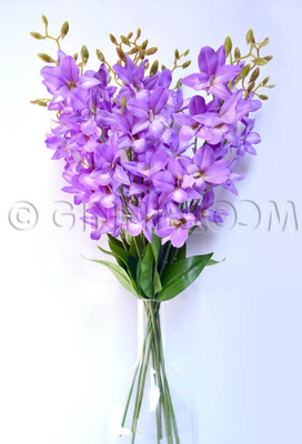 50% OFF on Ginni Bloom Purple Orchids Artificial Flower 50% OFF on Ginni Bloom Purple Orchids Artificial Flower