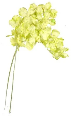 50% OFF on Amiya Garden Yellow Orchids Artificial Flower 50% OFF on Amiya Garden Yellow Orchids Artificial Flower