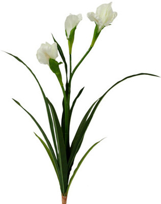 41% OFF on Gifts By Meeta White, Green Assorted Artificial Flower 41% OFF on Gifts By Meeta White, Green Assorted Artificial Flower