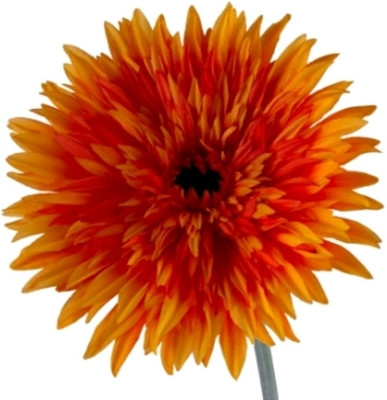 53% OFF on Flowers Forever Single Big Daisy Orange Assorted Artificial Flower