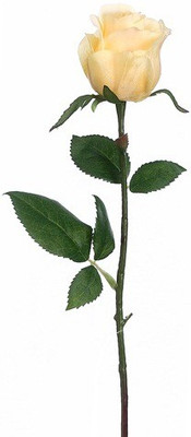 50% OFF on Amiya Garden Beige Rose Artificial Flower