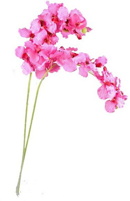 58% OFF on Amiya Garden Pink Orchids Artificial Flower 58% OFF on Amiya Garden Pink Orchids Artificial Flower