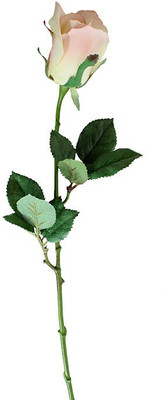 50% OFF on Amiya Garden White, Pink Rose Artificial Flower 50% OFF on Amiya Garden White, Pink Rose Artificial Flower