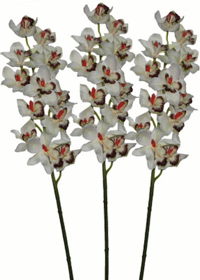 35% OFF on Pollination Cymbidium White Orchids Artificial Flower 35% OFF on Pollination Cymbidium White Orchids Artificial Flower