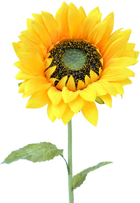 28% OFF on Ginni Bloom Yellow Sunflower Artificial Flower 28% OFF on Ginni Bloom Yellow Sunflower Artificial Flower