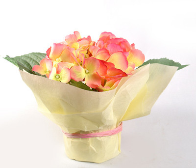 66% OFF on Ginni Bloom Pink Assorted Artificial Flower with Pot 66% OFF on Ginni Bloom Pink Assorted Artificial Flower with Pot