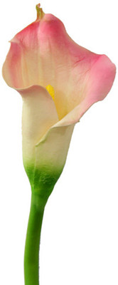 41% OFF on Gifts By Meeta Pink Lily Artificial Flower