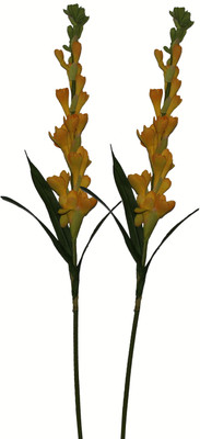 51% OFF on Pollination Tuberose Yellow Rose Artificial Flower 51% OFF on Pollination Tuberose Yellow Rose Artificial Flower