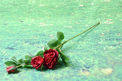 63% OFF on Enfin Homes (ENF8C444) Red Rose Artificial Flower