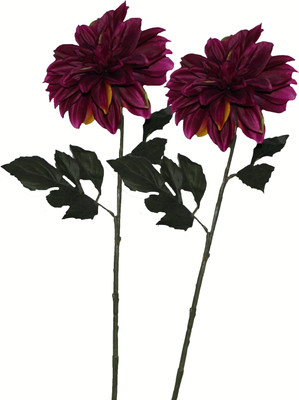 51% OFF on Pollination Dahlia Purple Assorted Artificial Flower 51% OFF on Pollination Dahlia Purple Assorted Artificial Flower