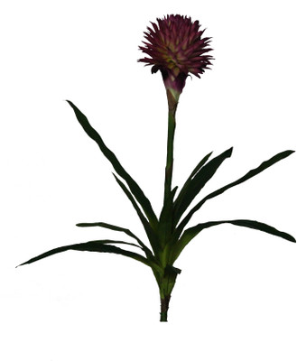 55% OFF on Pollination King Flower Purple Assorted Artificial Flower 55% OFF on Pollination King Flower Purple Assorted Artificial Flower