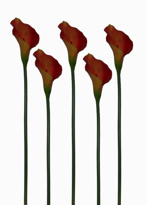 51% OFF on Pollination Calalily Orange Lily Artificial Flower 51% OFF on Pollination Calalily Orange Lily Artificial Flower