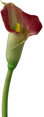 3% OFF on Gifts By Meeta Pink Lily Artificial Flower