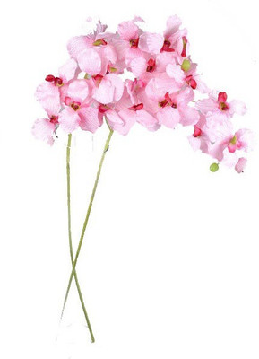 58% OFF on Amiya Garden Pink, White Orchids Artificial Flower 58% OFF on Amiya Garden Pink, White Orchids Artificial Flower