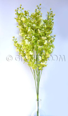 41% OFF on Ginni Bloom Green Orchids Artificial Flower 41% OFF on Ginni Bloom Green Orchids Artificial Flower