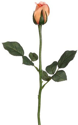 50% OFF on Amiya Garden Orange Rose Artificial Flower 50% OFF on Amiya Garden Orange Rose Artificial Flower