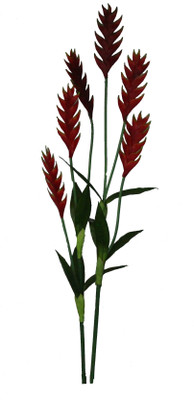 56% OFF on Pollination Heliconia Red Assorted Artificial Flower 56% OFF on Pollination Heliconia Red Assorted Artificial Flower