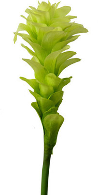 41% OFF on Gifts By Meeta Yellow Assorted Artificial Flower