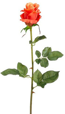 50% OFF on Amiya Garden Orange Rose Artificial Flower 50% OFF on Amiya Garden Orange Rose Artificial Flower