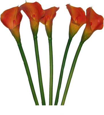 56% OFF on PolliNation CALALILY Orange Lily Artificial Flower 56% OFF on PolliNation CALALILY Orange Lily Artificial Flower