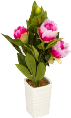 53% OFF on Flowers Forever Pink, White Peony Artificial Flower with Pot