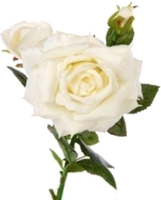 53% OFF on Flowers Forever 3 Heads Velvet White Rose Artificial Flower