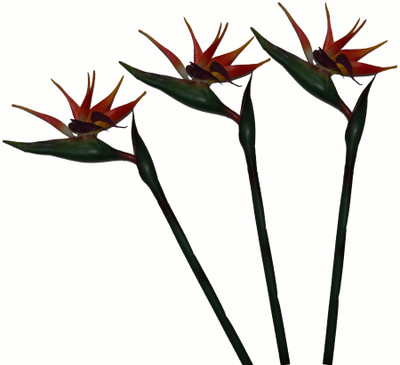 36% OFF on Pollination Birds Of Paradise Orange Assorted Artificial Flower 36% OFF on Pollination Birds Of Paradise Orange Assorted Artificial Flower