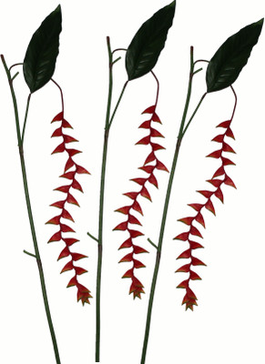 50% OFF on Pollination Heliconia Red Assorted Artificial Flower 50% OFF on Pollination Heliconia Red Assorted Artificial Flower