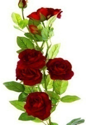 53% OFF on Flowers Forever 7 Heads Velvet Wild Red Rose Artificial Flower