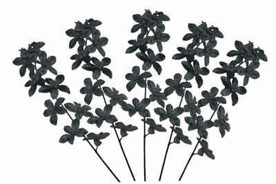 36% OFF on Pollination Forcenthiya Grey Assorted Artificial Flower 36% OFF on Pollination Forcenthiya Grey Assorted Artificial Flower