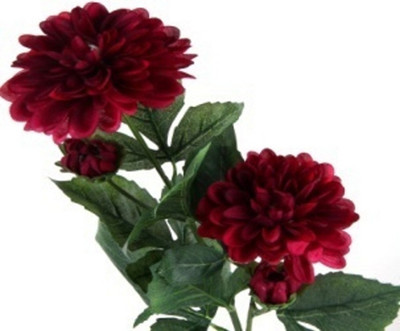 53% OFF on Flowers Forever 4 Heads Dahlia Maroon Assorted Artificial Flower 53% OFF on Flowers Forever 4 Heads Dahlia Maroon Assorted Artificial Flower