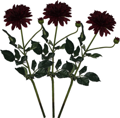 50% OFF on Pollination Dahlia Red Assorted Artificial Flower 50% OFF on Pollination Dahlia Red Assorted Artificial Flower