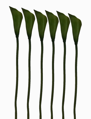 35% OFF on Pollination Calalily Green Lily Artificial Flower 35% OFF on Pollination Calalily Green Lily Artificial Flower
