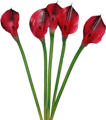 56% OFF on PolliNation CALALILY Red Lily Artificial Flower 56% OFF on PolliNation CALALILY Red Lily Artificial Flower