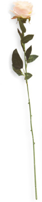 50% OFF on Jhaveri Pink Rose Artificial Flower 50% OFF on Jhaveri Pink Rose Artificial Flower