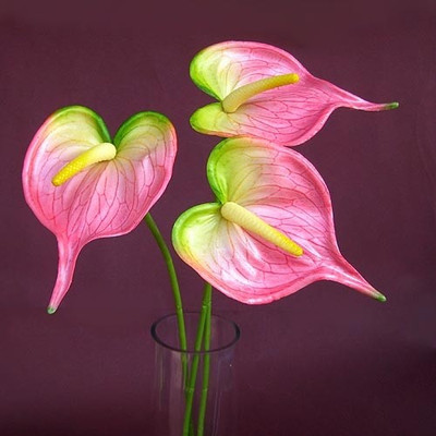 33% OFF on Ginni Bloom Pink Assorted Artificial Flower 33% OFF on Ginni Bloom Pink Assorted Artificial Flower