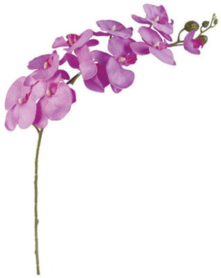 15% OFF on Importwala Purple Orchids Artificial Flower 15% OFF on Importwala Purple Orchids Artificial Flower