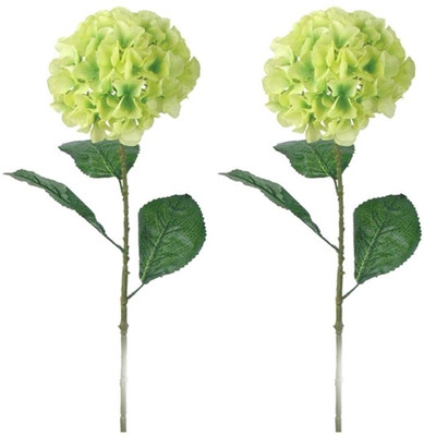 14% OFF on Importwala Green Wild Flower Artificial Flower 14% OFF on Importwala Green Wild Flower Artificial Flower