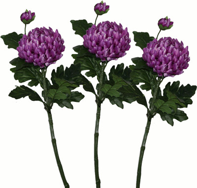 50% OFF on Pollination Crysanthimum Purple Assorted Artificial Flower 50% OFF on Pollination Crysanthimum Purple Assorted Artificial Flower