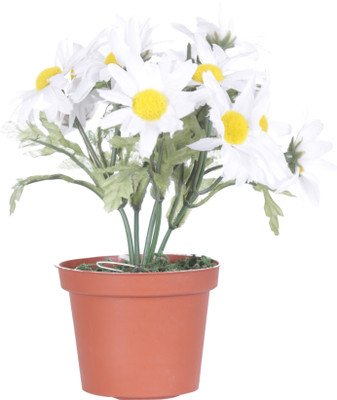 54% OFF on Evergreen White Assorted Artificial Flower with Pot 54% OFF on Evergreen White Assorted Artificial Flower with Pot