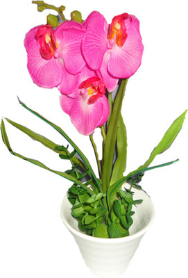 41% OFF on Imported Pink Orchids Artificial Flower with Pot 41% OFF on Imported Pink Orchids Artificial Flower with Pot